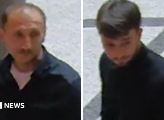 Thieves steal 600-diamond necklace from Vienna museum in broad daylight