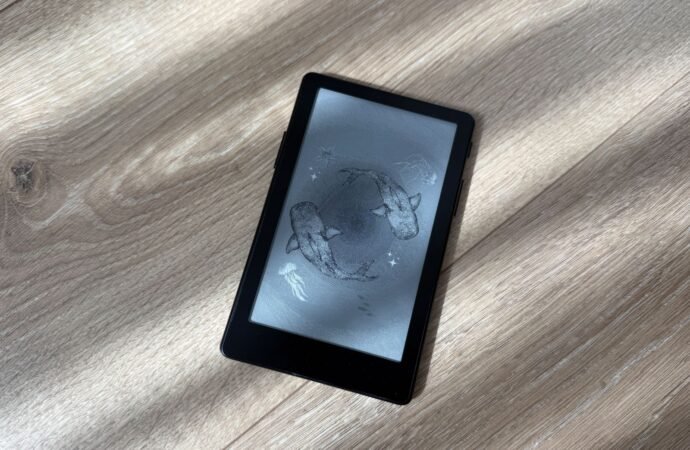 This Mini E-Reader Makes Reading Fun, but Finding Books Can Be a Chore