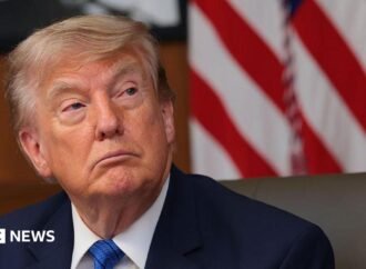 Trump challenged with cold reality by allies Todd Blanche and Jeanine Pirro