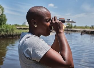 Turning the tide: restoring Mozambican mangroves — in photos