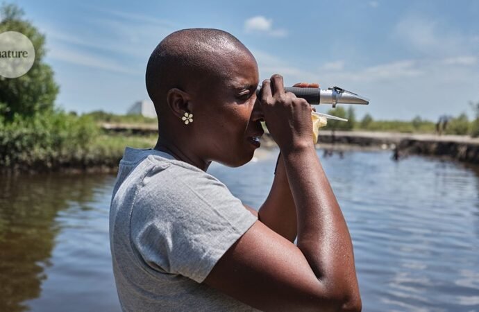 Turning the tide: restoring Mozambican mangroves — in photos
