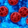 Two people in Michigan have died after becoming ill with cyclosporiasis