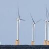 US strikes $1.2bn deal to pay German firm to halt offshore wind projects