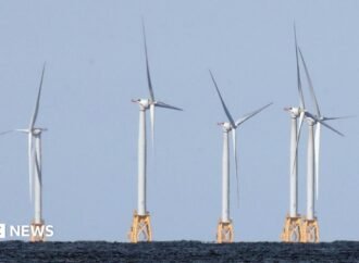 US strikes $1.2bn deal to pay German firm to halt offshore wind projects