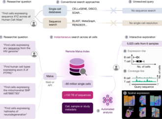 Ultrafast and reference-free sequence discovery in single-cell data – Nature