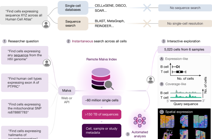 Ultrafast and reference-free sequence discovery in single-cell data – Nature