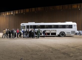 Undocumented migration does not raise crime rates, huge study finds