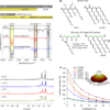 Upcycling of polyvinyl chloride into polyalphaolefin lubricants – Nature