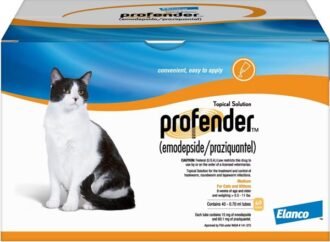 Veterinarians explain how to choose the right dewormer for your cat, and these 4 are the best options