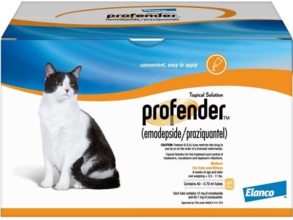 Veterinarians explain how to choose the right dewormer for your cat, and these 4 are the best options