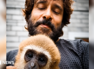 Vikram’s viral video with lar gibbon sparks India wildlife investigation