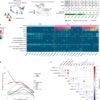 Virus reactivation in acute and long COVID-19 – Nature
