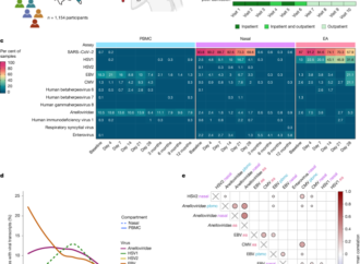 Virus reactivation in acute and long COVID-19 – Nature