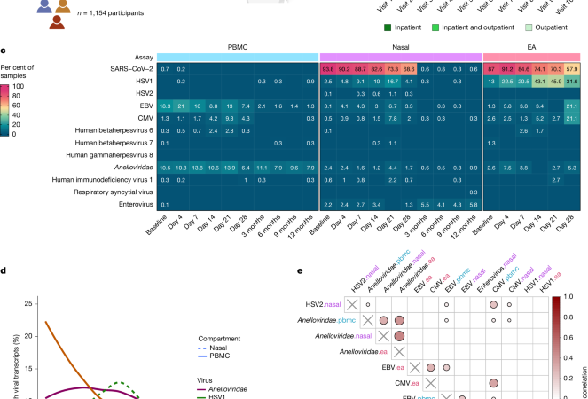 Virus reactivation in acute and long COVID-19 – Nature