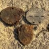 WWII motorcycle and soldiers emerge from river muck in Hungary