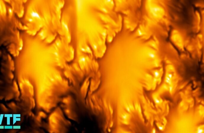 Watch the Highest-Ever Resolution Video of the Sun’s Surface – CNET