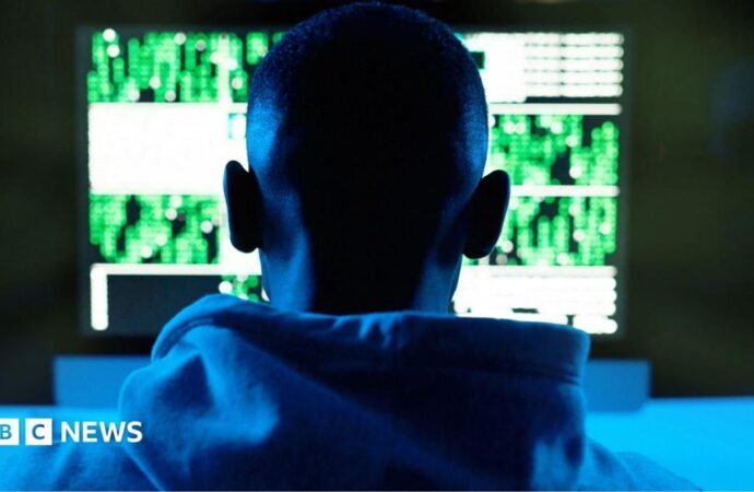 West African cyber-crime networks: Mass arrests follow Interpol crackdown