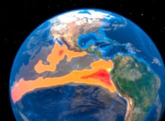 What Is El Niño, and What Does It Mean for Weather, Water, and the Global Economy?