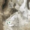 What Lake Bonneville Left Behind – NASA Science