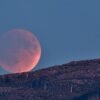 What’s Up: August 2026 Skywatching Tips from NASA – NASA Science