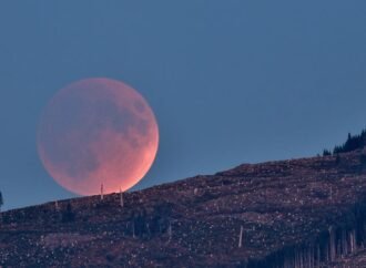 What’s Up: August 2026 Skywatching Tips from NASA – NASA Science