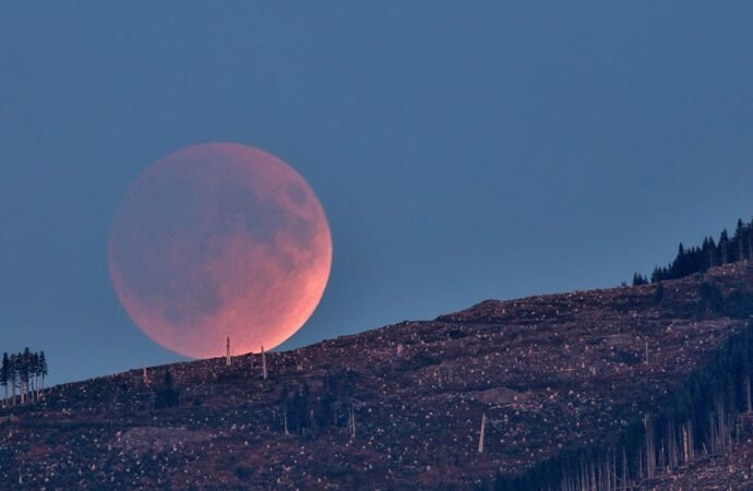 What’s Up: August 2026 Skywatching Tips from NASA – NASA Science