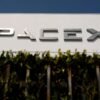 Why a veteran fund manager sees more trouble ahead for SpaceX as its post-IPO roller coaster continues