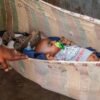 Why is the rate of premature births so high in this community?