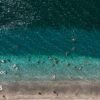 World’s oceans hit record-high July temperatures