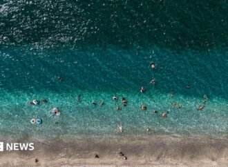 World’s oceans hit record-high July temperatures
