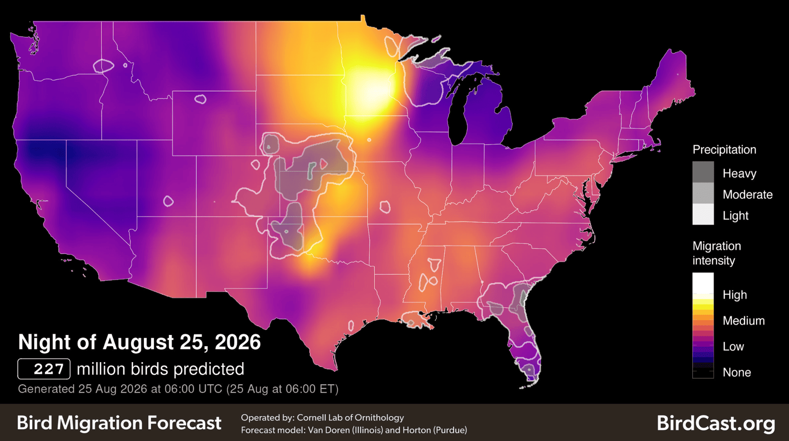 a map of the united states showing where birds are migrating. the highest concentrations are shown in white and yellow and are located over minnesota and the dakotas