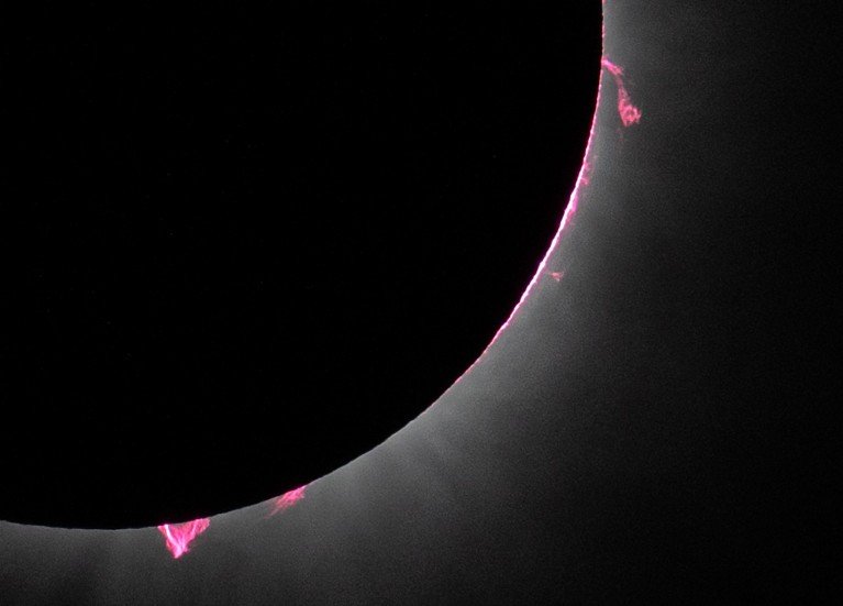 A zoomed in view showing solar prominences protruding from the corona during a total solar eclipse in Dallas in 2024.