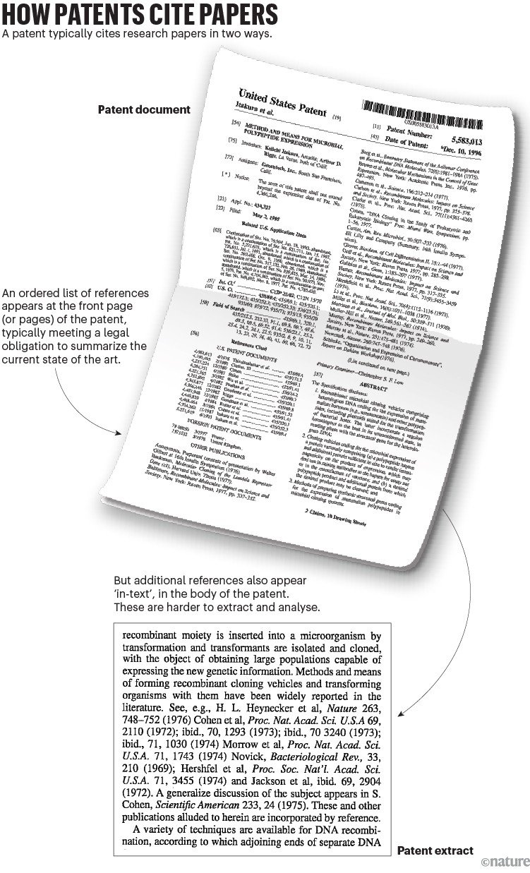Infographic showing two ways patents cite scientific papers: as an ordered reference list on the patent’s front page and as in-text citations embedded in the patent body, illustrated with a patent document and an annotated patent excerpt.