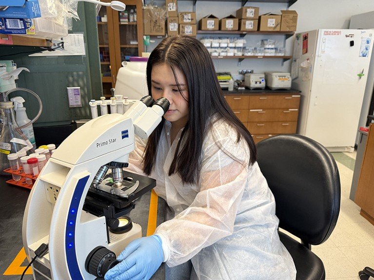 Maya Dixon looks through a microscope to analyze pancreatic cancer tissue samples in her laboratory.