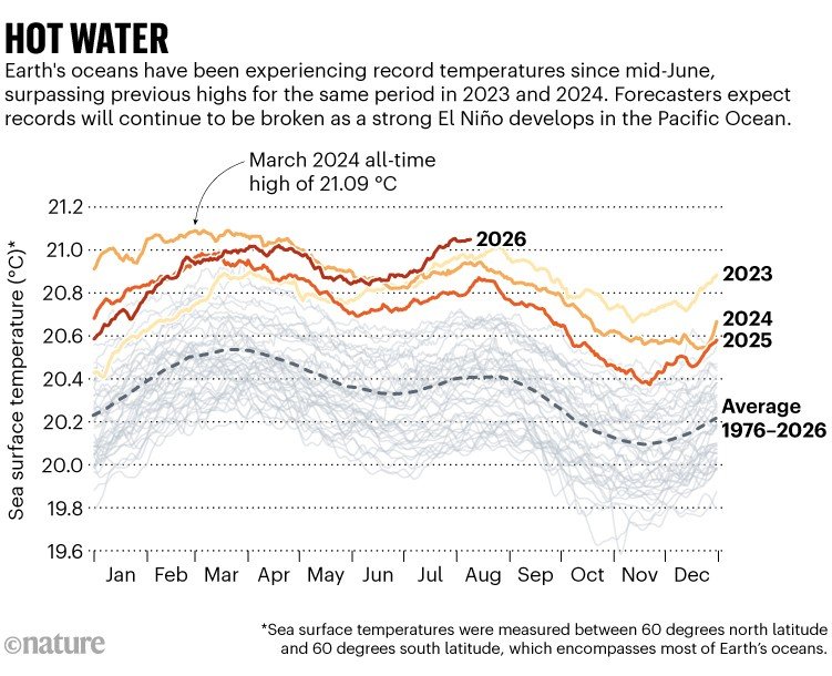 Hot water. Line chart showing sea surface temperature across the Earth's oceans from 1976 to 2026. Earth's oceans have been experiencing record temperatures since mid-June, surpassing previous highs for the same period in 2023 and 2024. Forecasters expect records will continue to be broken as a strong El Niño develops in the Pacific Ocean.