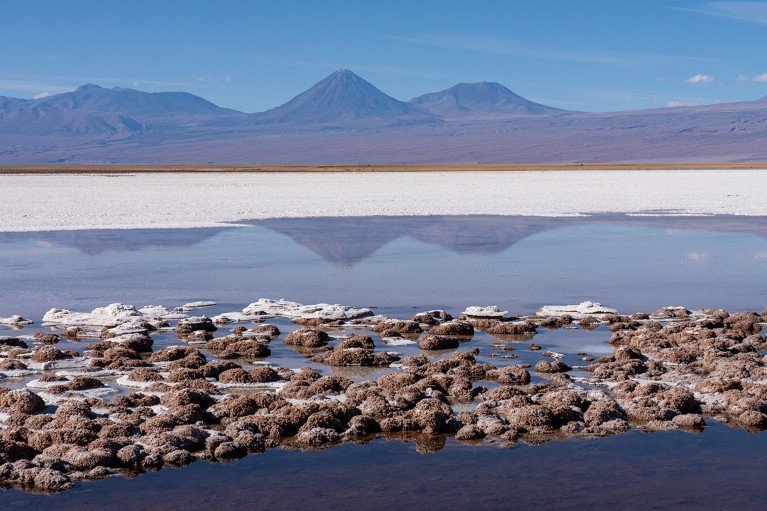 Layered stromatolites rise from Tebenquiche Lagoon, with a volcano towering in the background of the Atacama Desert, Chile.