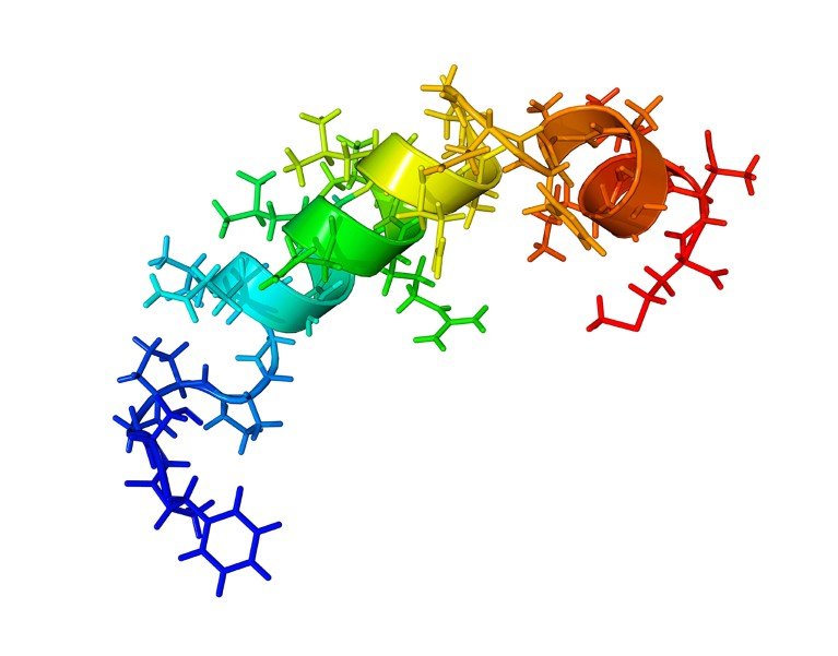 Computer model of orexin-B, showing its coiled molecular structure.