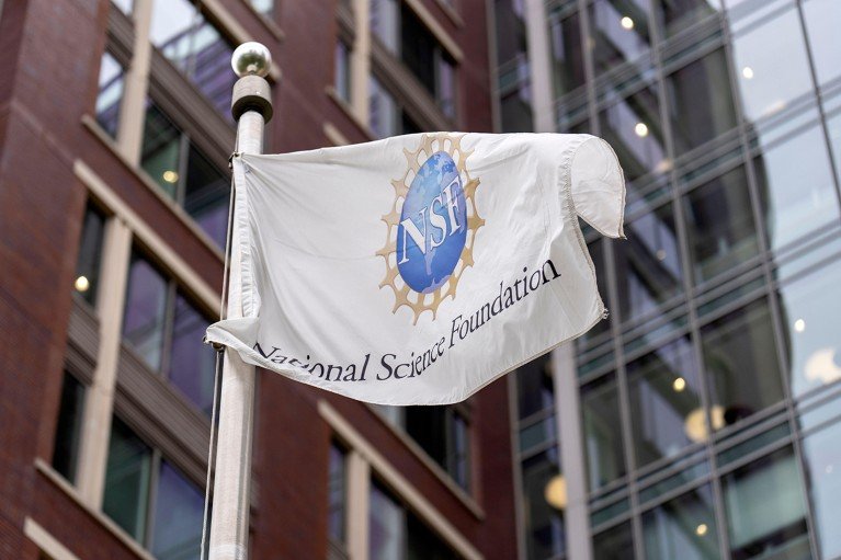 National Science Foundation (NSF) flag displaying the agency’s logo, with buildings in the background.