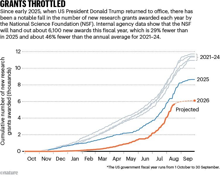 GRANTS THROTTLED. Graphic compares the number of new research grants awarded by the NSF in the years 2021–26. This year the agency will hand out approximately 46% fewer grants than the annual average for 2021–24.