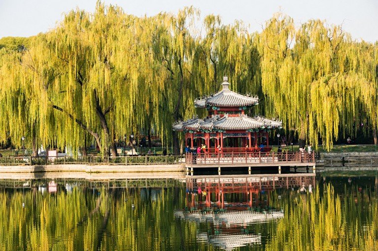 A traditional red Chinese pavilion is reflected in a lake beneath green and golden weeping willow trees