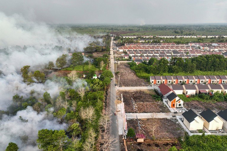 Aerial view showing trees burning on the left hand side of a road and on the right hand side new houses in danger of being engulfed in smoke.