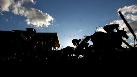 There is a seven-race card at Taree on Tuesday.
