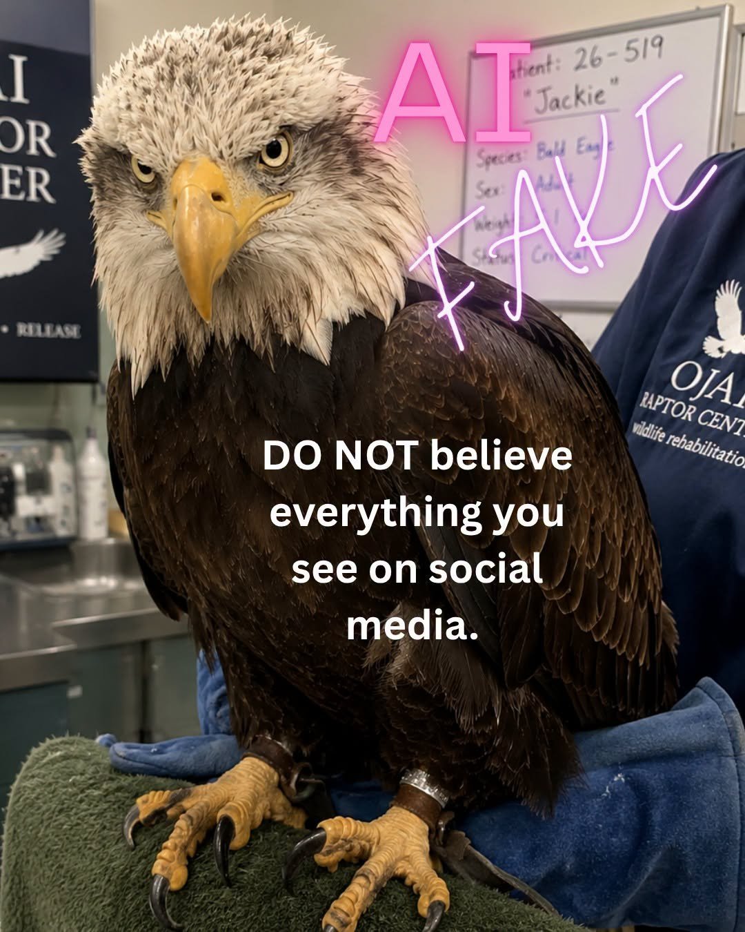 a fake image of an eagle in a vet's office