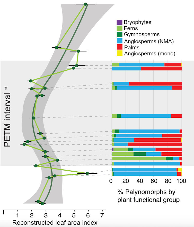 Two charts show how tree canopy declined, while palms expanded, then palms shrunk as the canopy grew again.