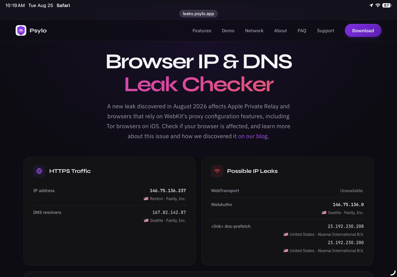 Screenshot of a security leak checking website showing possible IP address leaks.