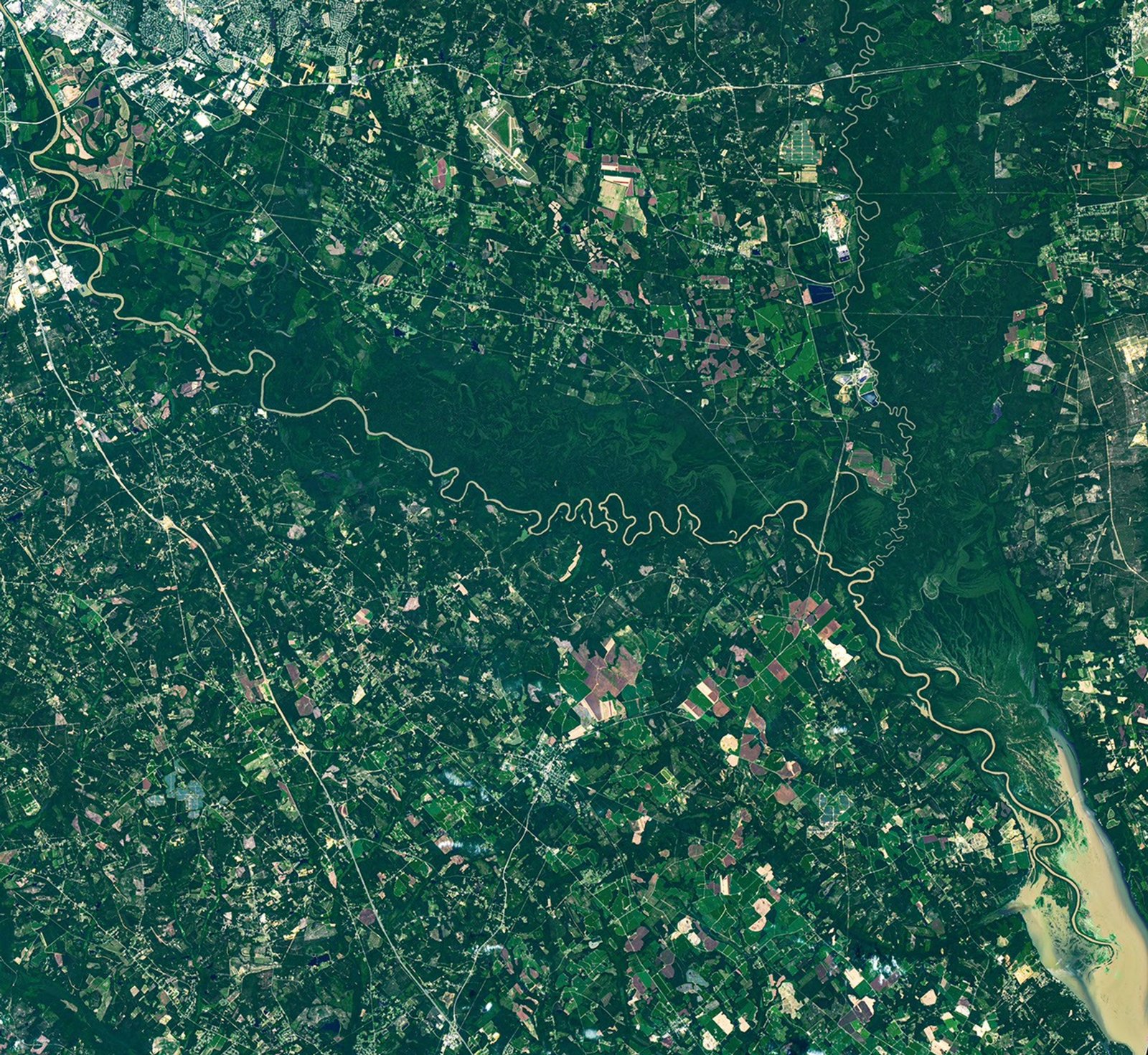 A brown, meandering river cuts through a band of dark green forest in Congaree National Park. Labels point out an oxbow lake and meander in the river. Former river channels called paleochannels appear lighter green than other forested areas.