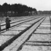 105-year-old investigated over murders at Nazi PoW camp in Germany