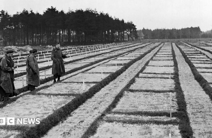 105-year-old investigated over murders at Nazi PoW camp in Germany