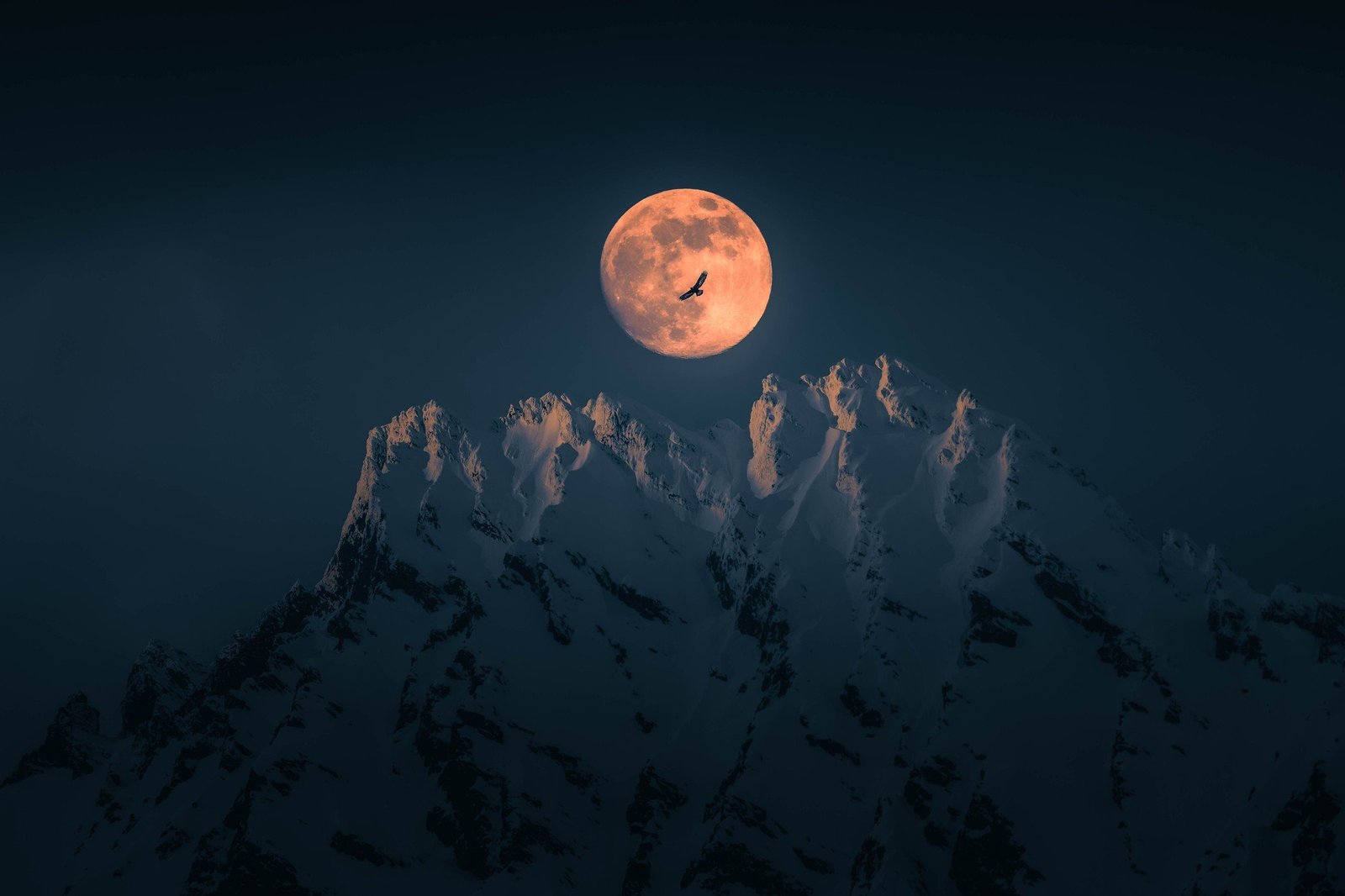 A majestic golden eagle drifts in dark silhouette across the face of the moon