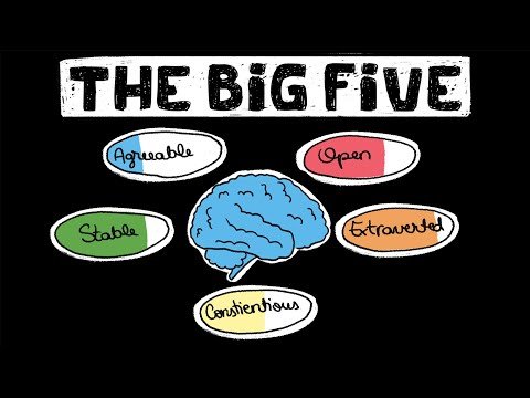 The Big 5 OCEAN Traits Explained - Personality Quizzes thumbnail